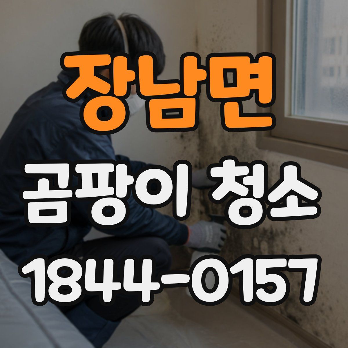 장남면 곰팡이 청소