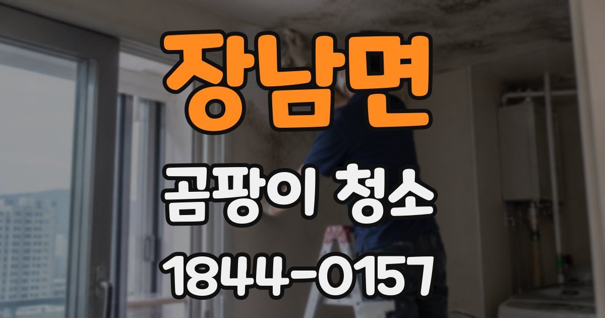 장남면 곰팡이 청소