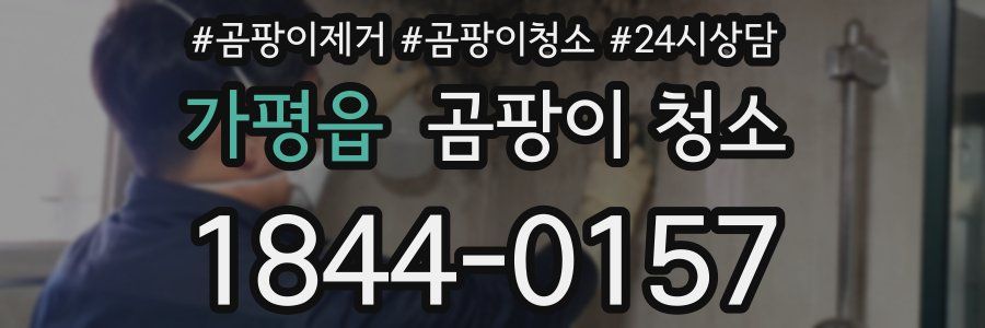 가평읍 곰팡이 청소