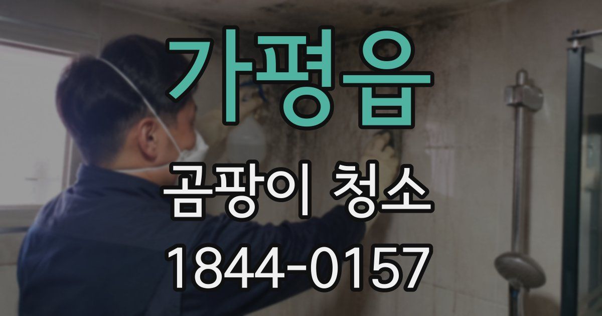 가평읍 곰팡이 청소