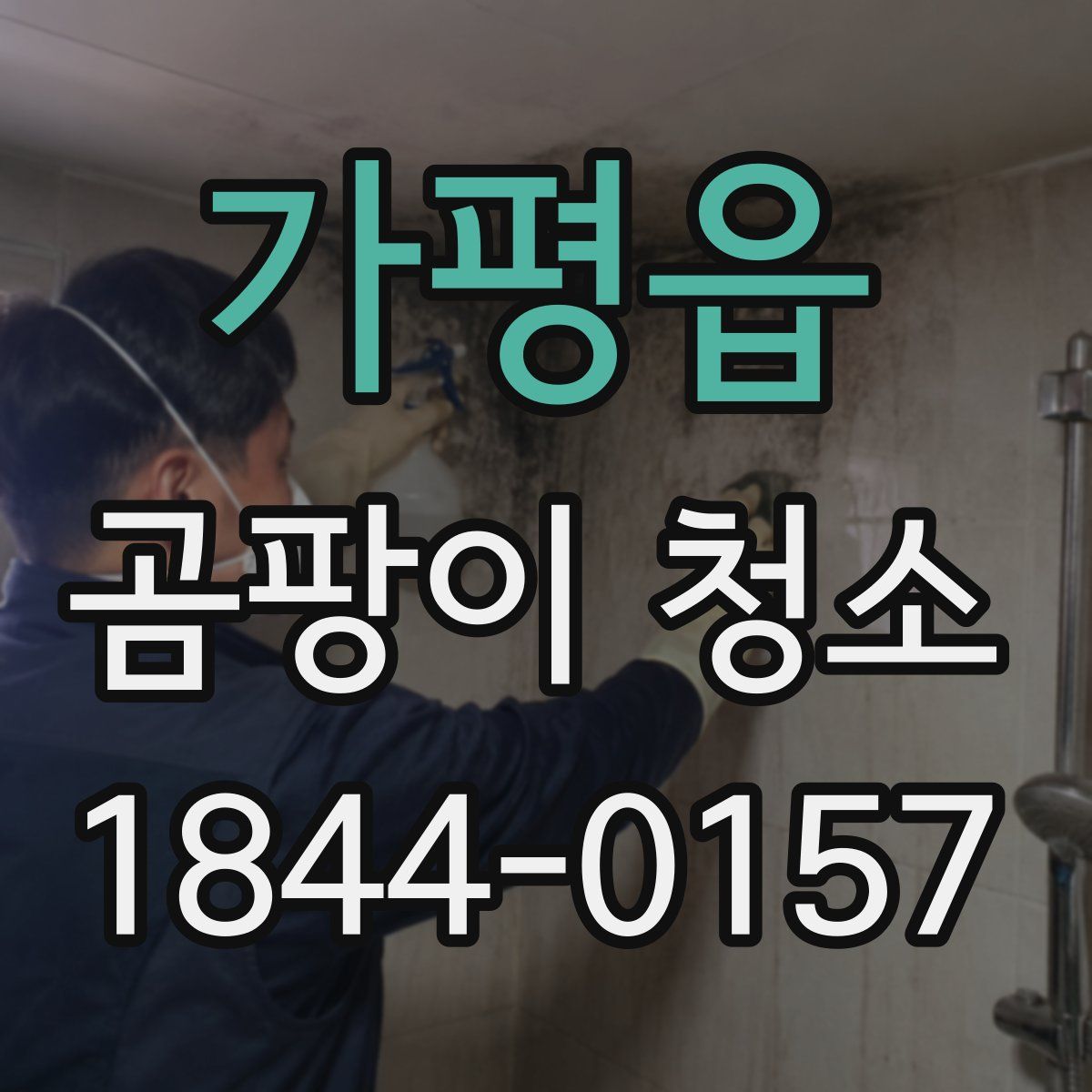 가평읍 곰팡이 청소