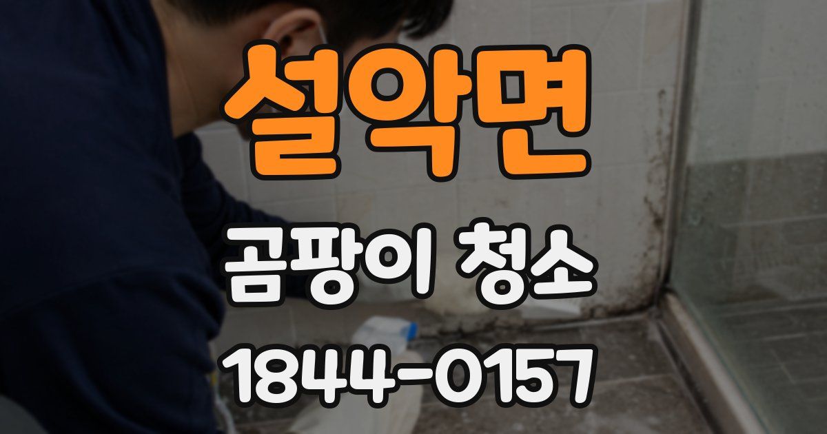 설악면 곰팡이 청소