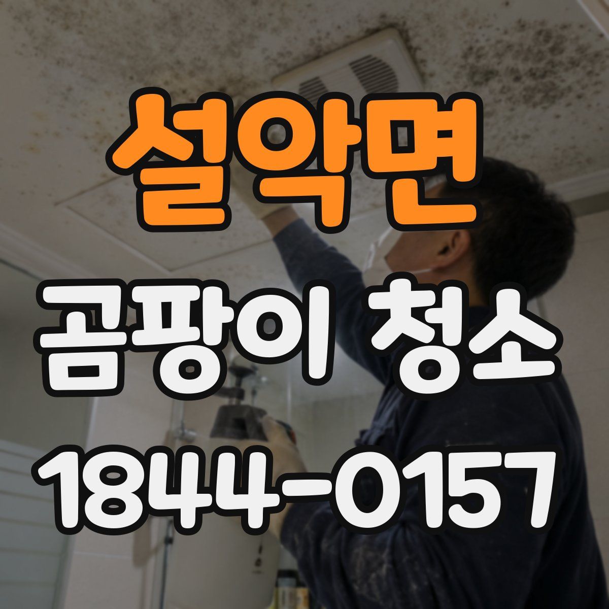 설악면 곰팡이 청소