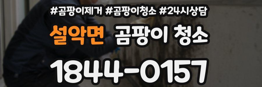 설악면 곰팡이 청소