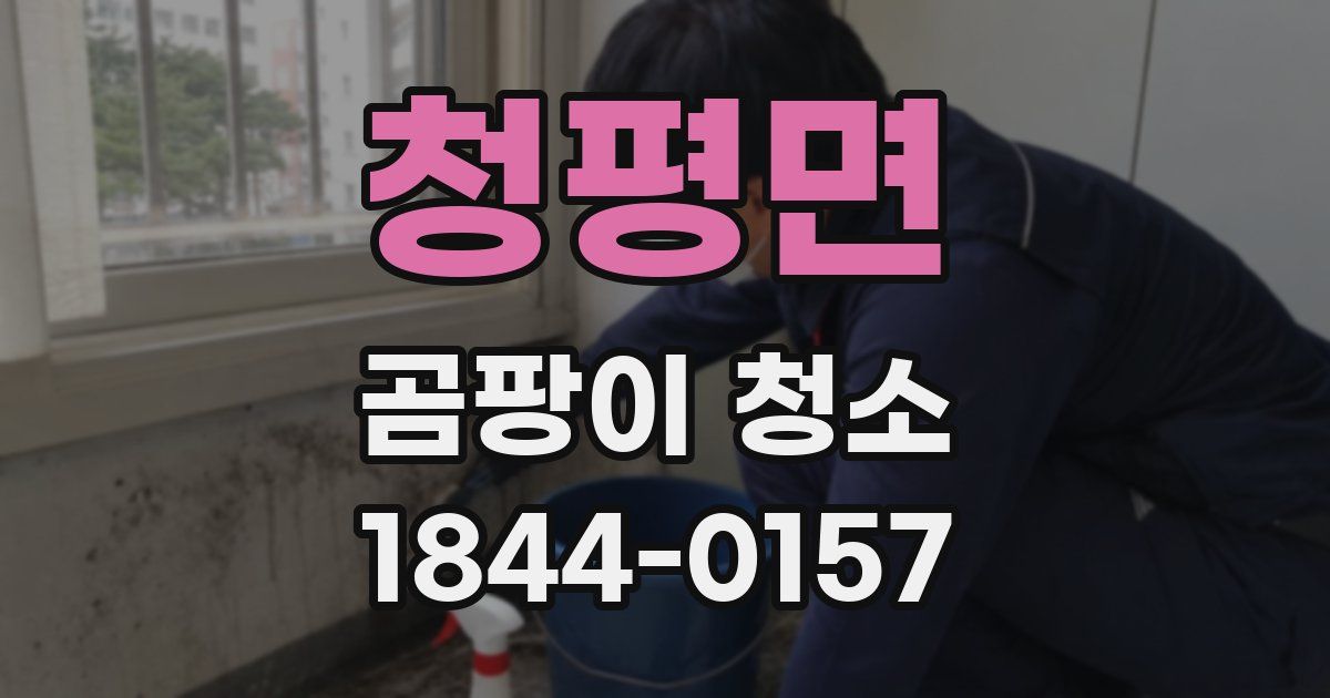 청평면 곰팡이 청소