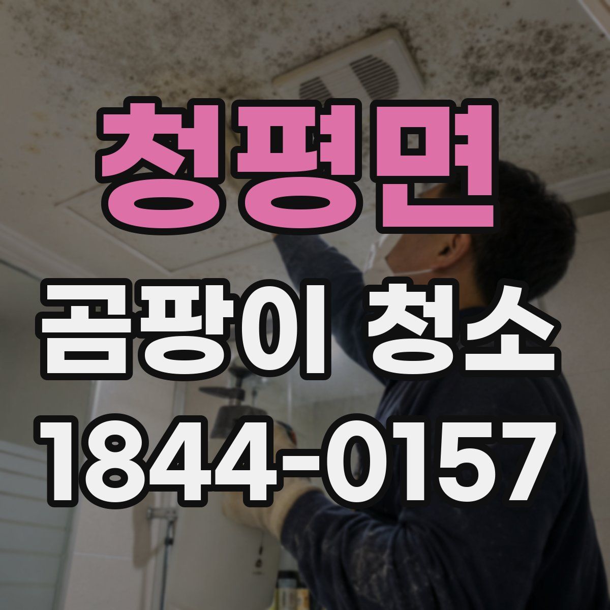 청평면 곰팡이 청소