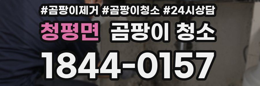 청평면 곰팡이 청소