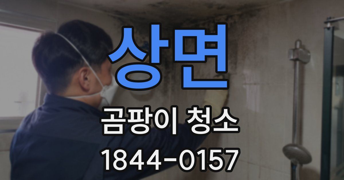 상면 곰팡이 청소