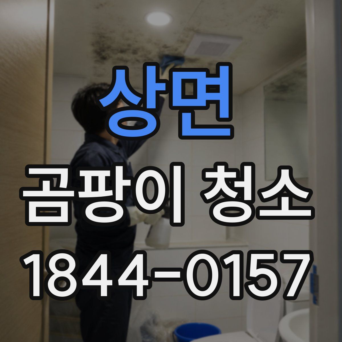 상면 곰팡이 청소