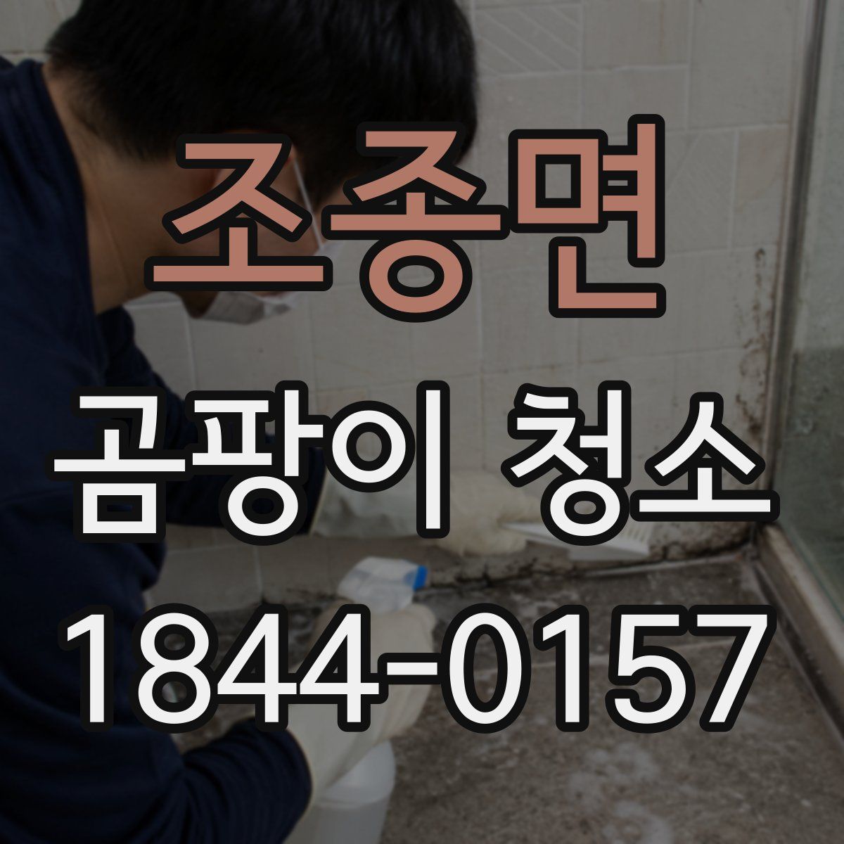 조종면 곰팡이 청소