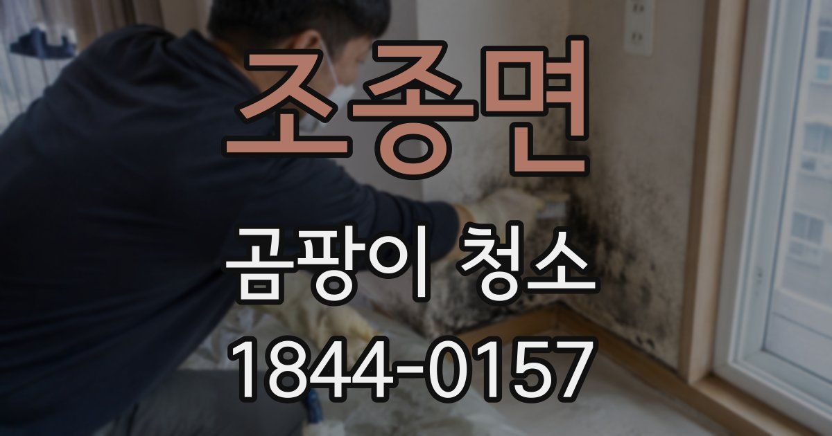 조종면 곰팡이 청소