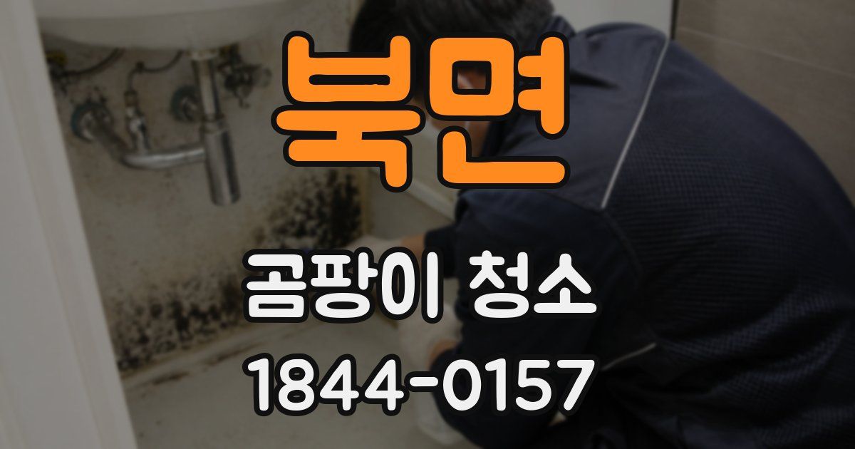 북면 곰팡이 청소