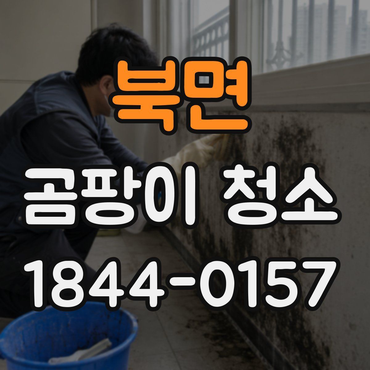 북면 곰팡이 청소