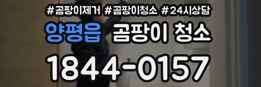 양평읍 곰팡이 청소