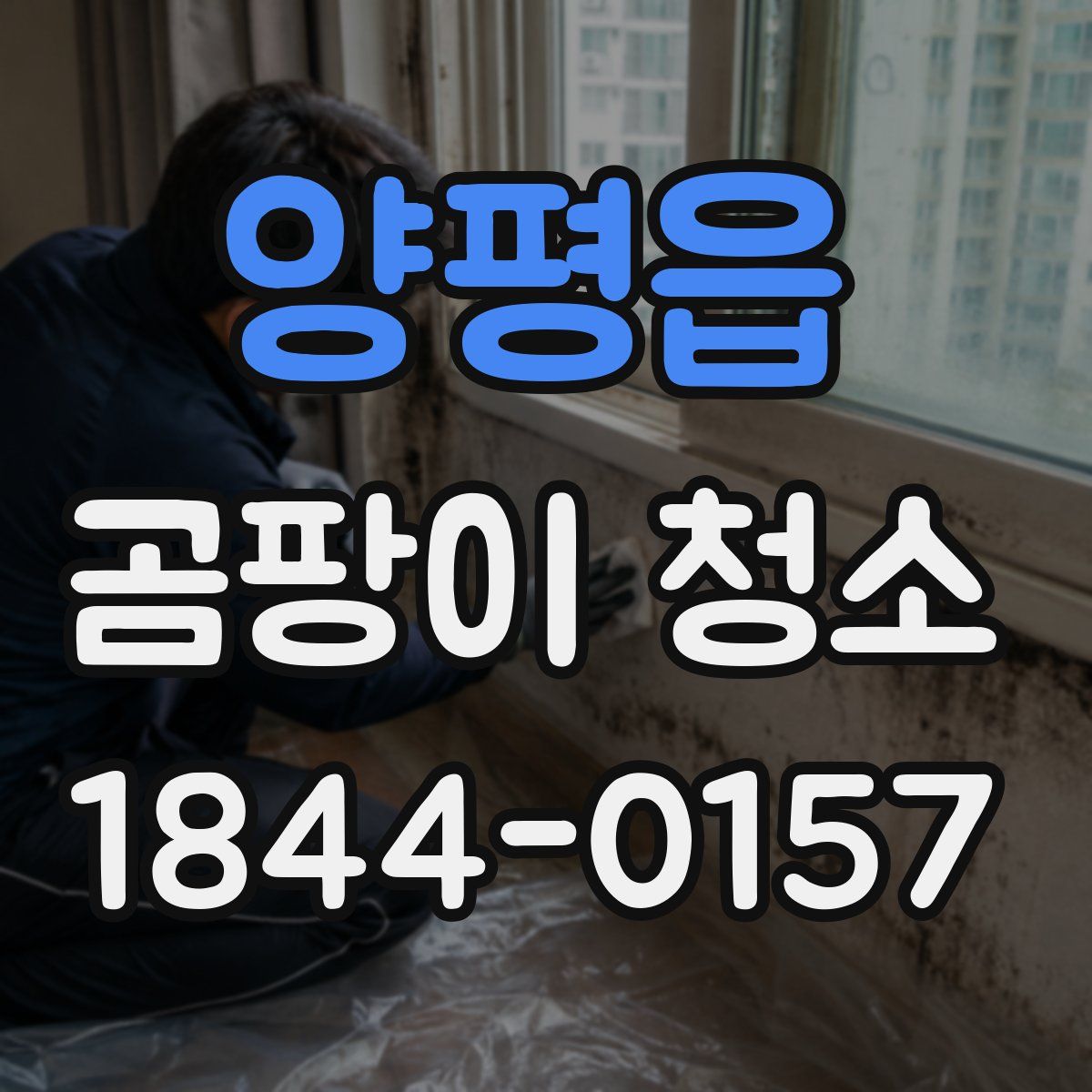 양평읍 곰팡이 청소