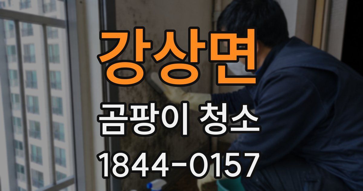 강상면 곰팡이 청소