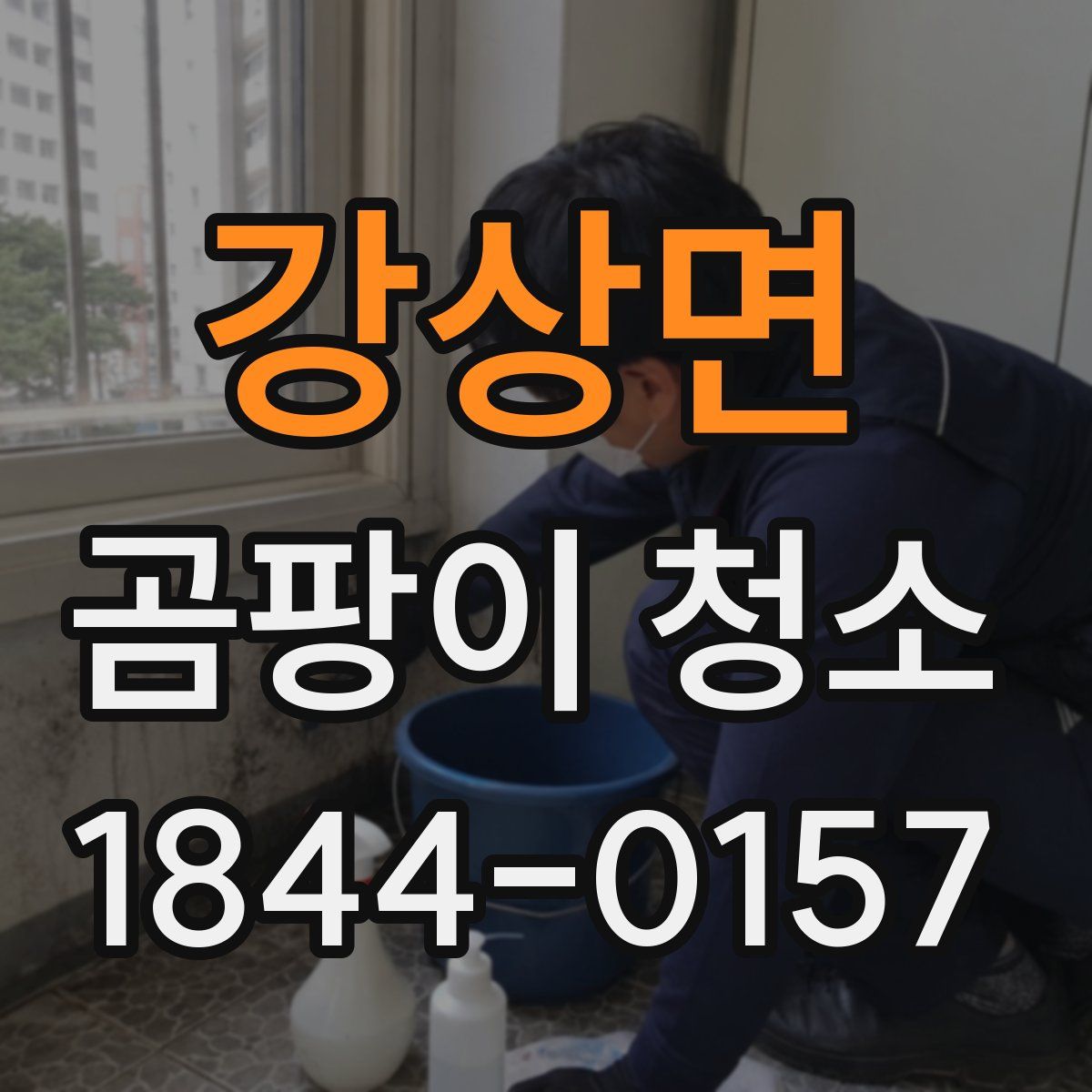 강상면 곰팡이 청소