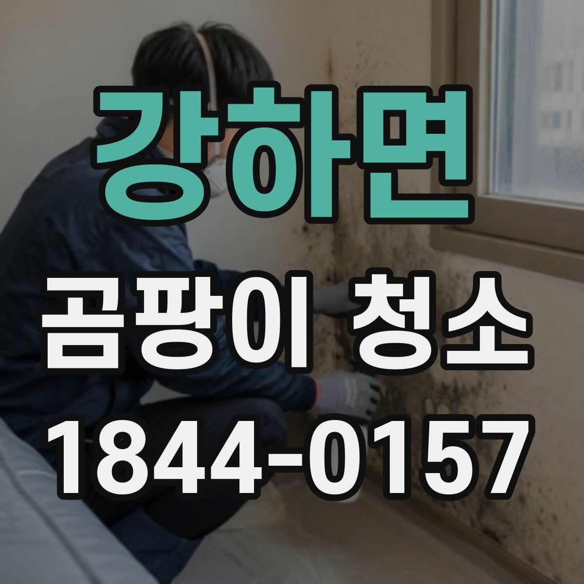 강하면 곰팡이 청소