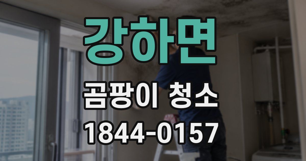 강하면 곰팡이 청소