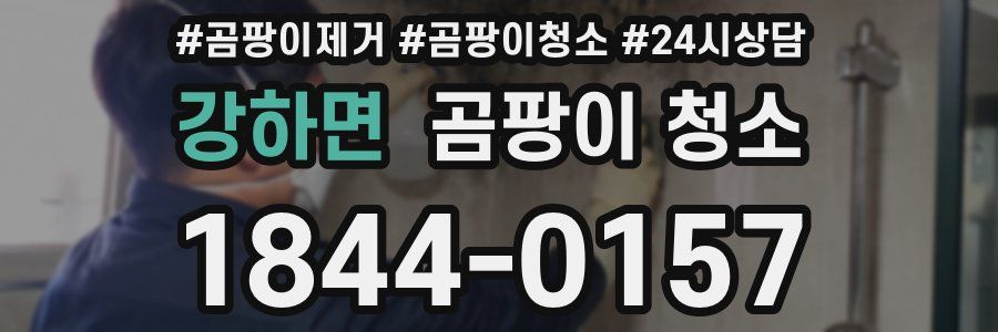 강하면 곰팡이 청소