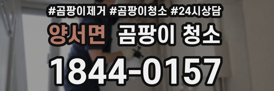양서면 곰팡이 청소