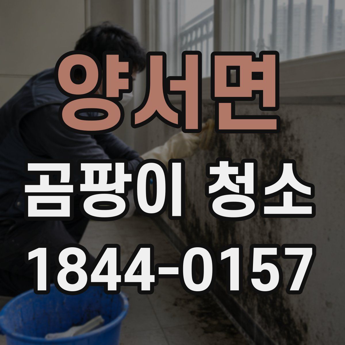 양서면 곰팡이 청소