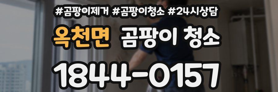 옥천면 곰팡이 청소