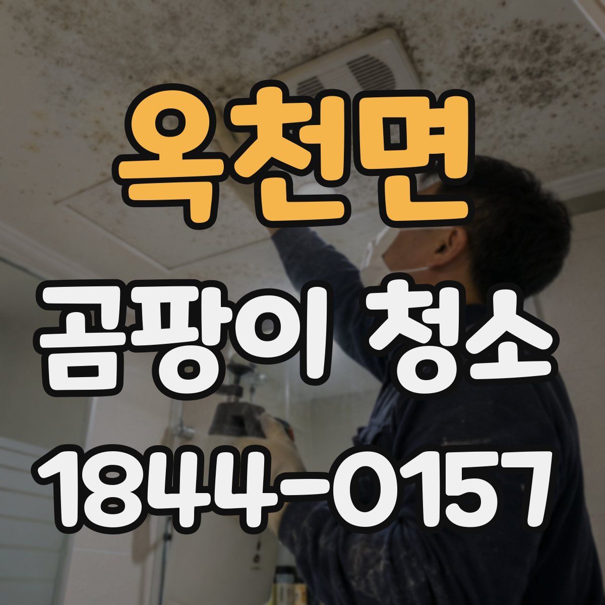 옥천면 곰팡이 청소