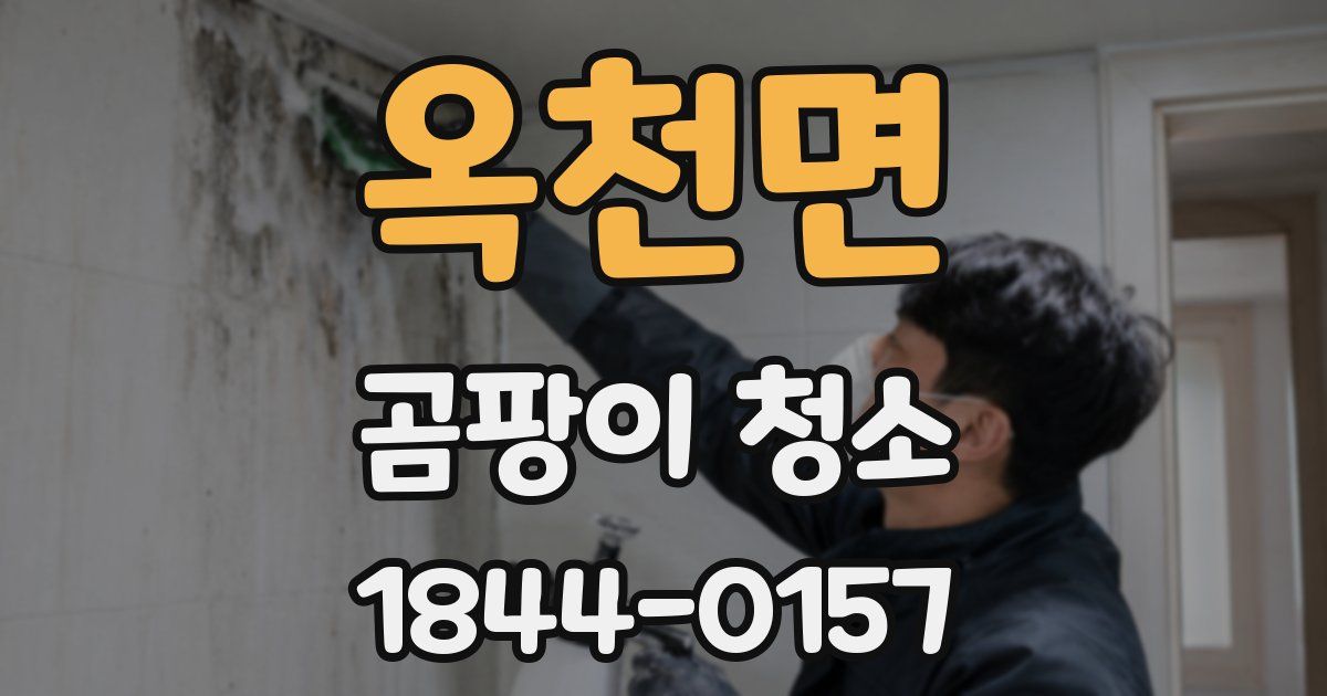 옥천면 곰팡이 청소