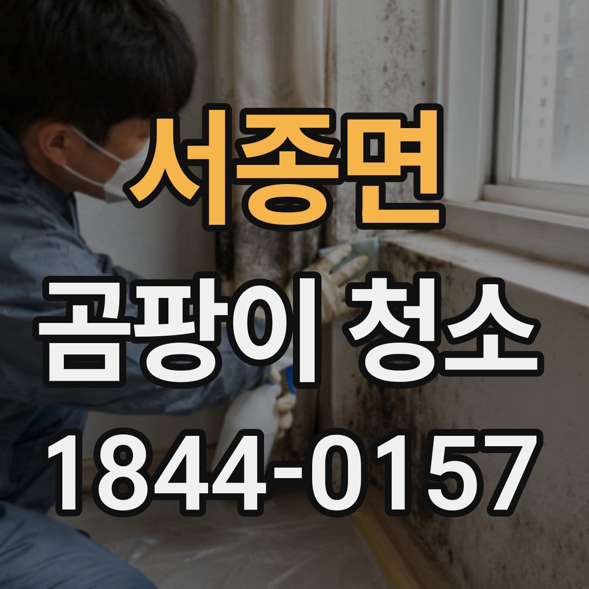 서종면 곰팡이 청소