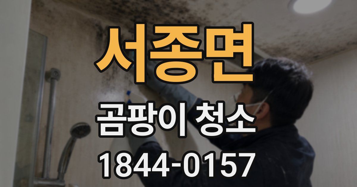 서종면 곰팡이 청소