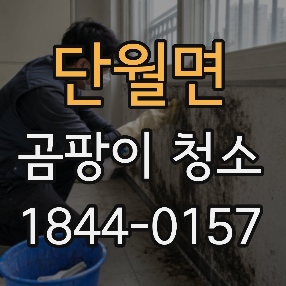 단월면 곰팡이 청소