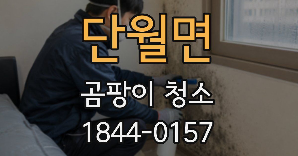 단월면 곰팡이 청소