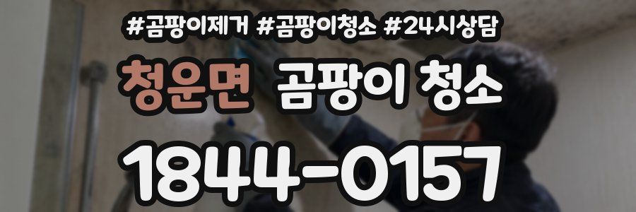청운면 곰팡이 청소
