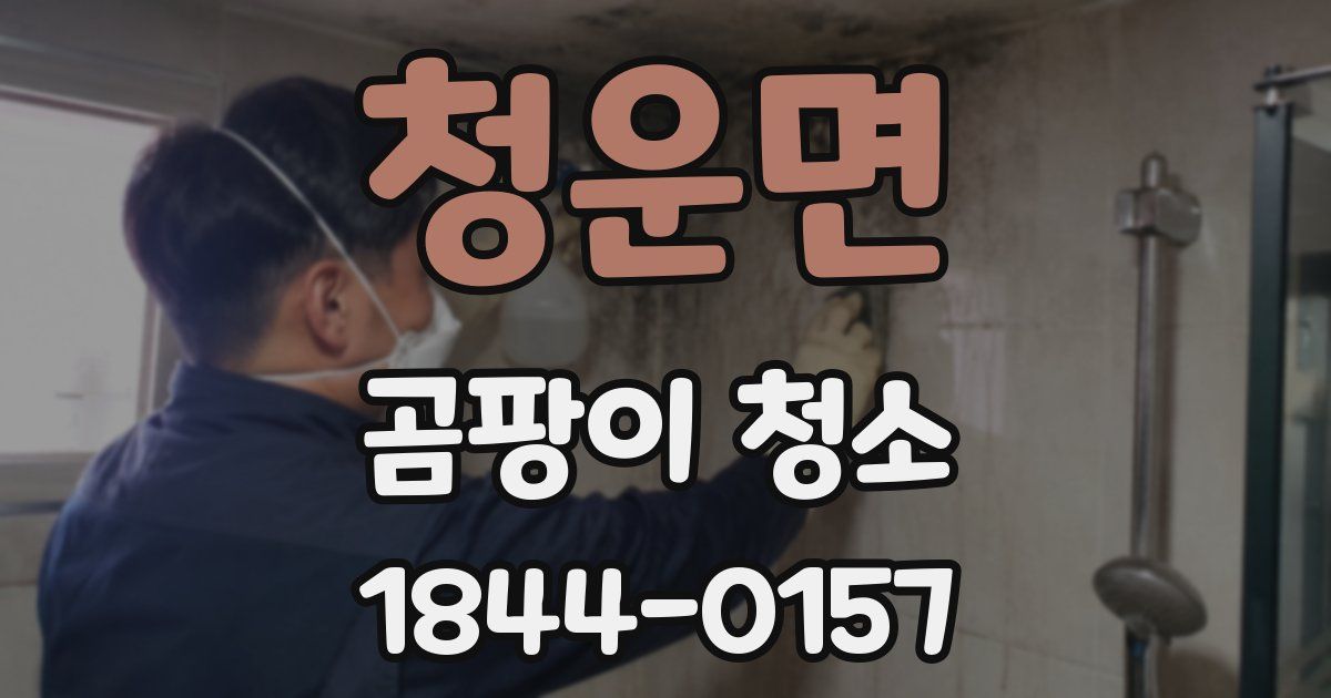청운면 곰팡이 청소