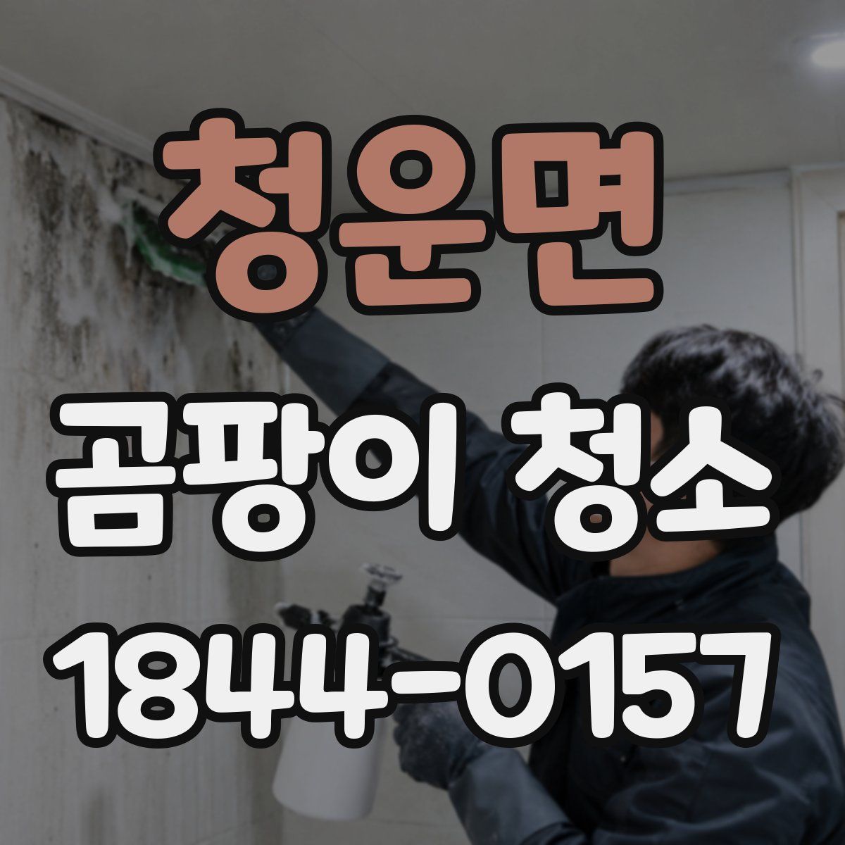 청운면 곰팡이 청소