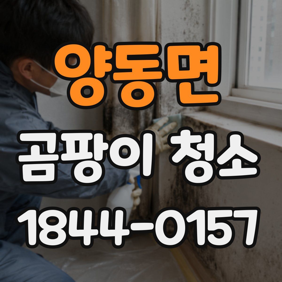 양동면 곰팡이 청소