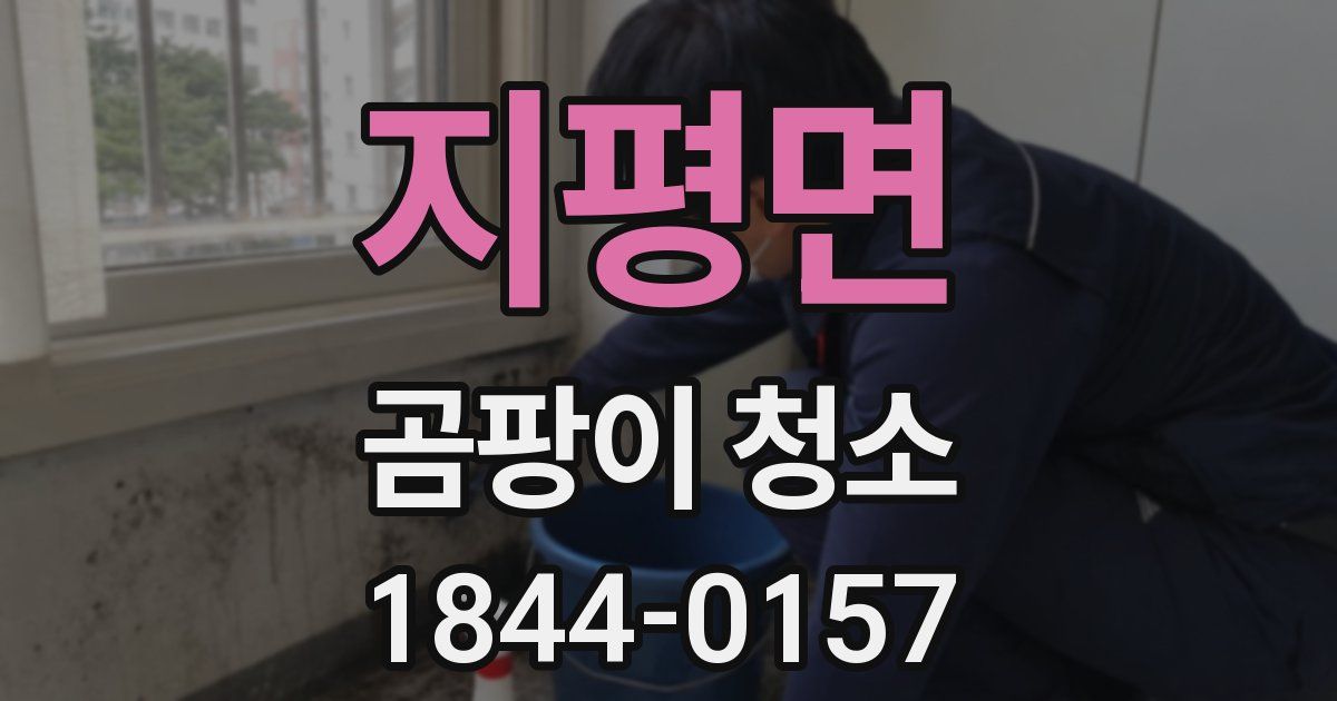 지평면 곰팡이 청소