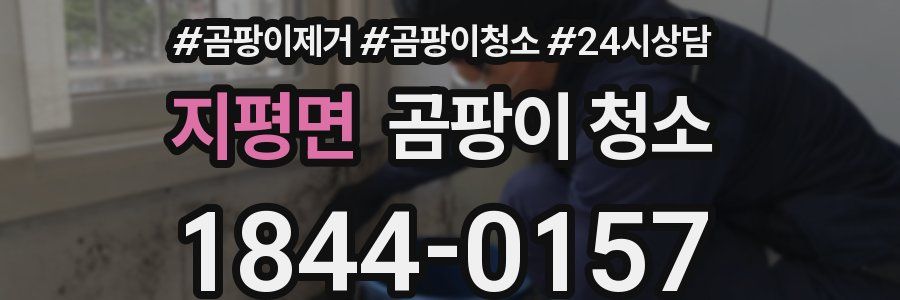 지평면 곰팡이 청소