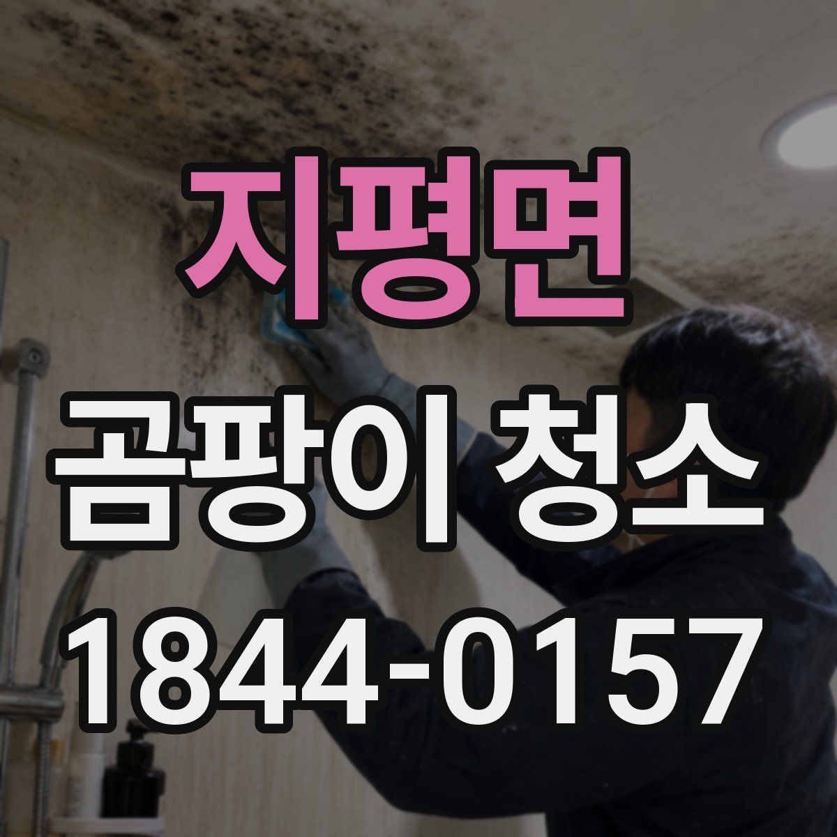 지평면 곰팡이 청소