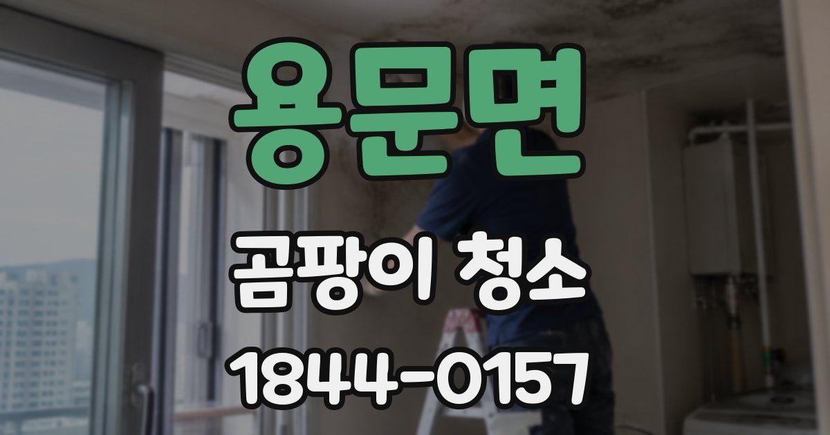 용문면 곰팡이 청소