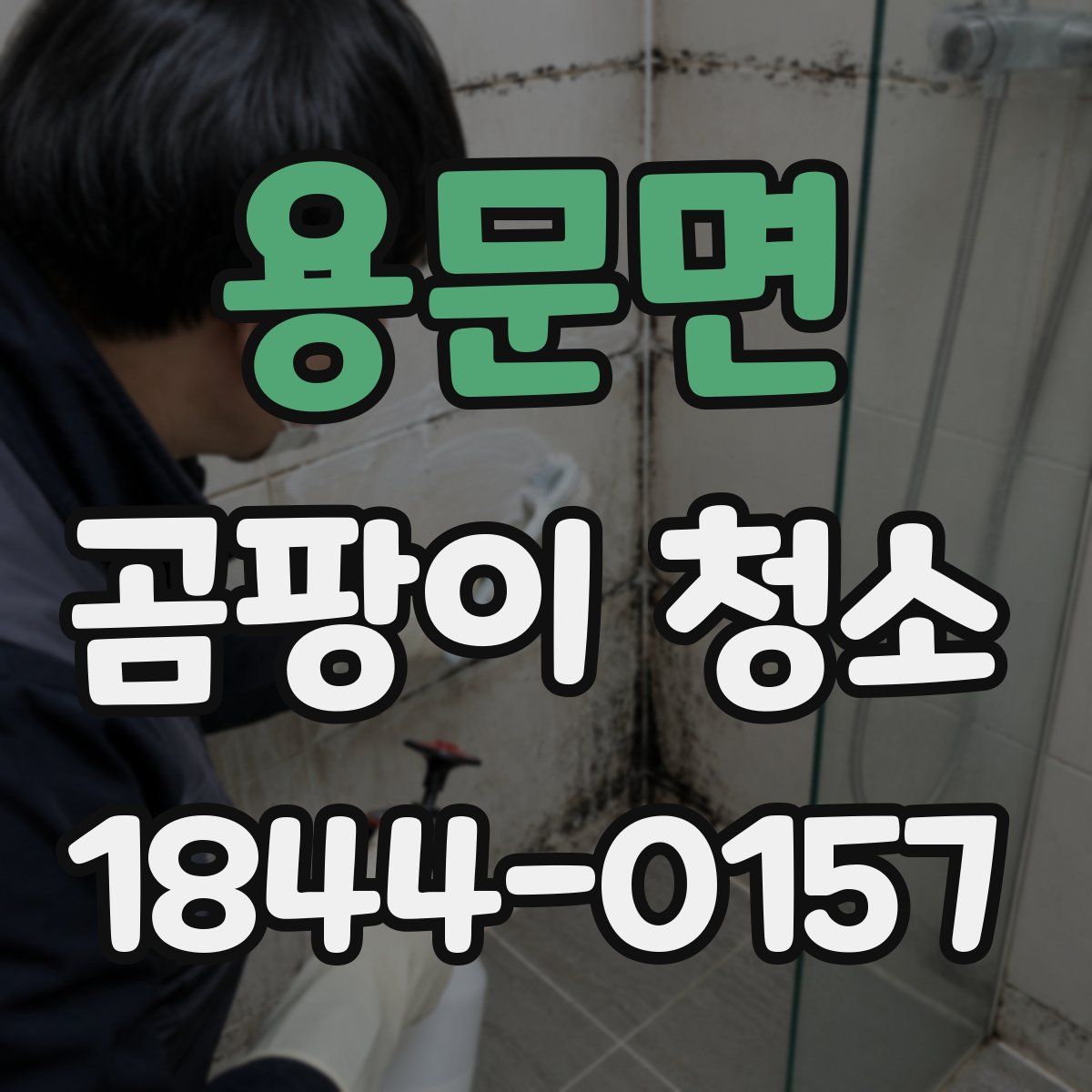 용문면 곰팡이 청소