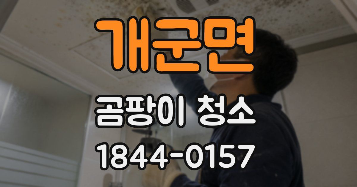 개군면 곰팡이 청소