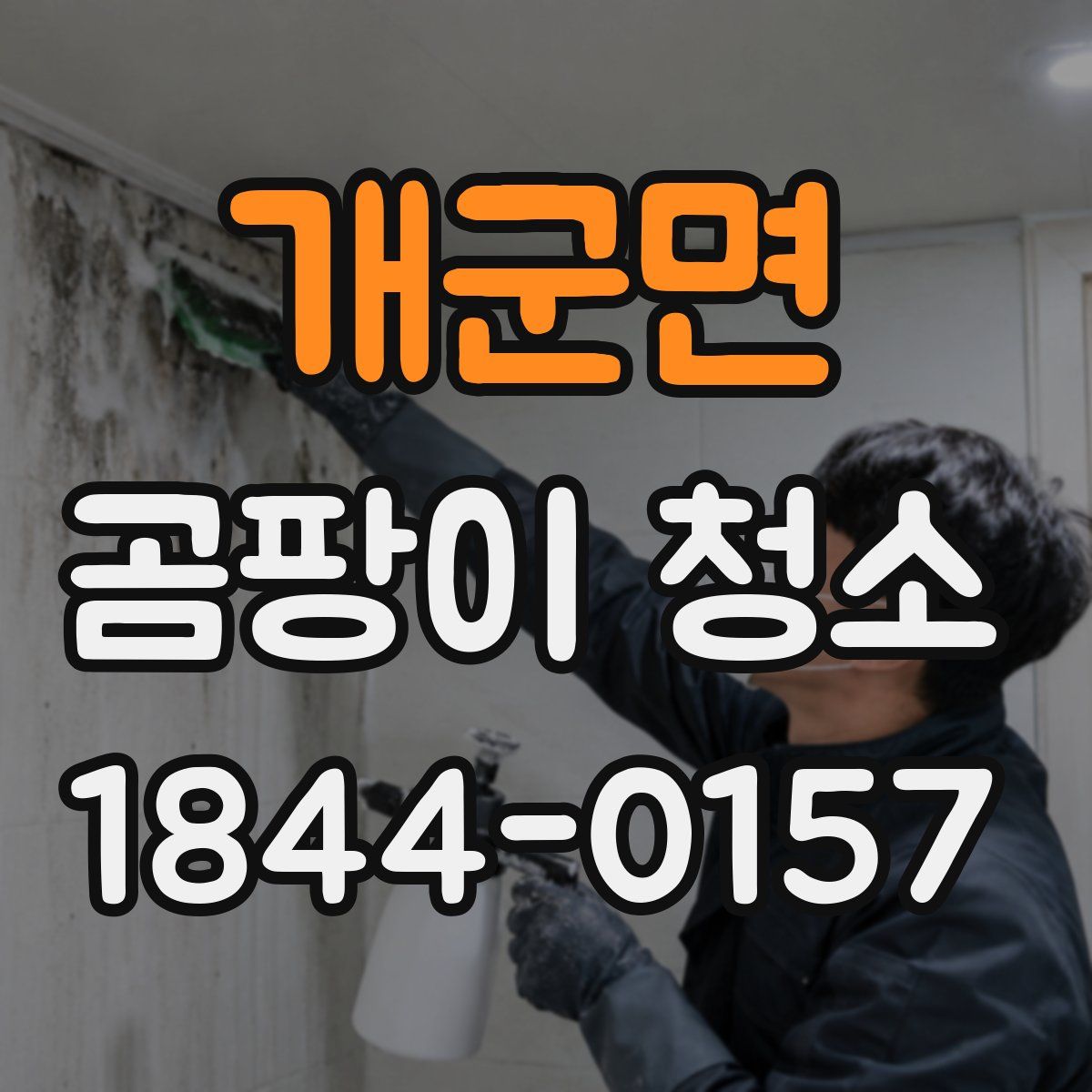 개군면 곰팡이 청소