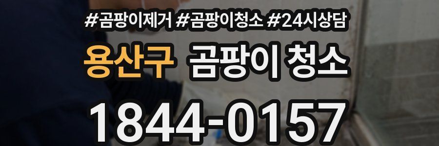 용산구 곰팡이 청소
