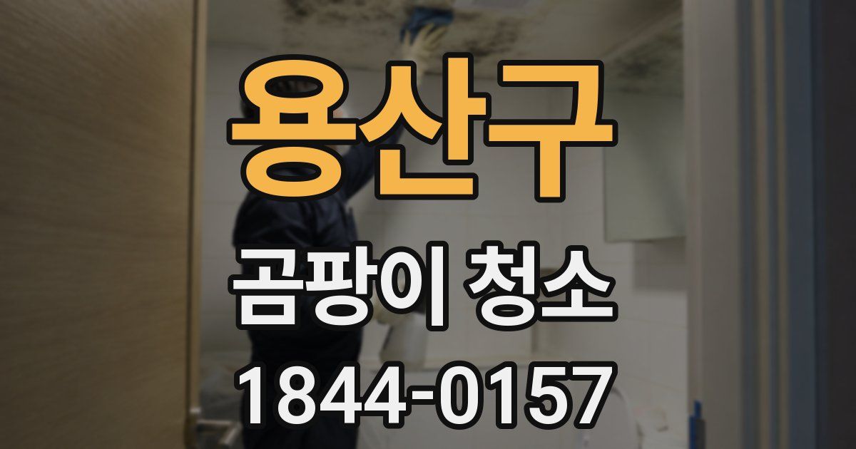 용산구 곰팡이 청소
