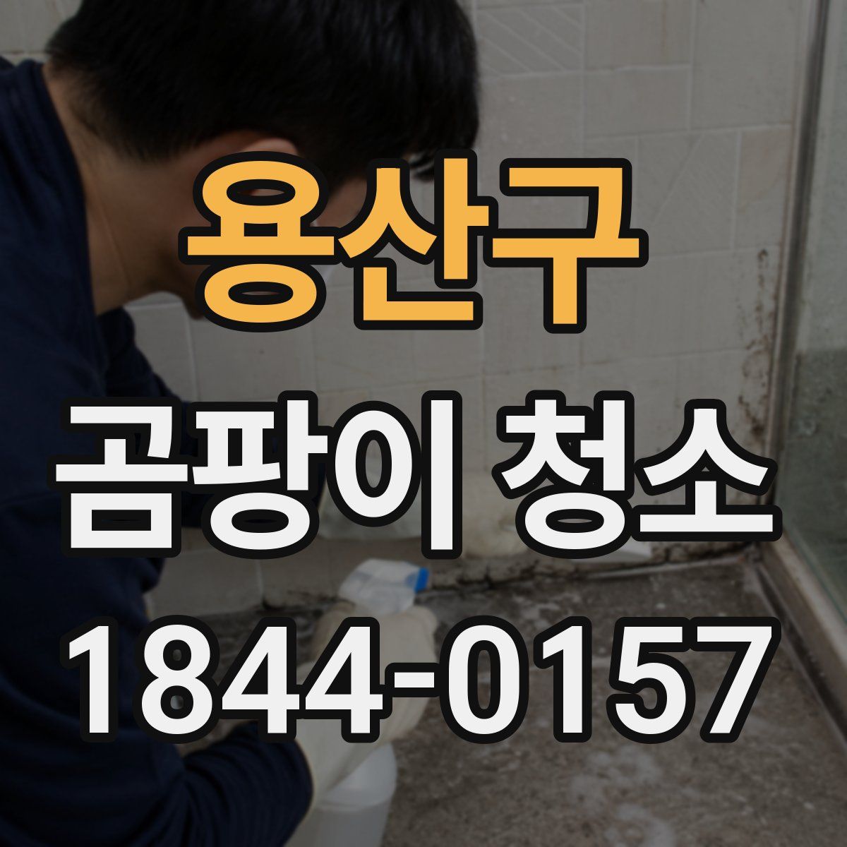 용산구 곰팡이 청소