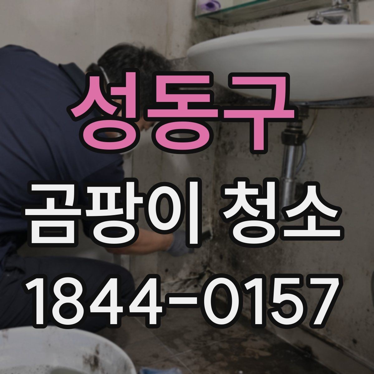 성동구 곰팡이 청소 실내 습도 관리로 재발을 줄이는 방법