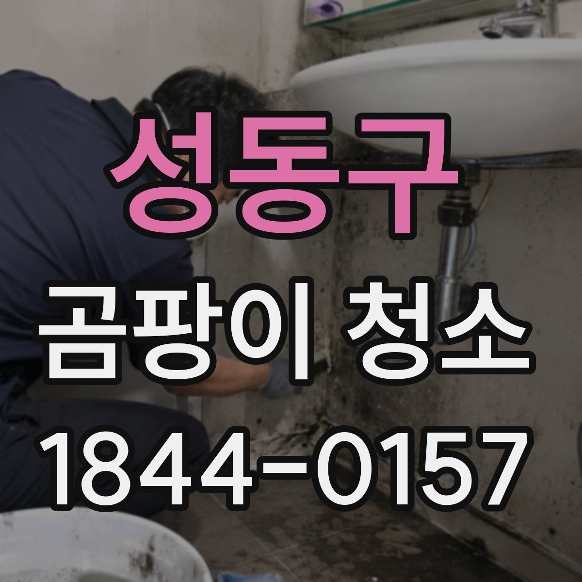 성동구 곰팡이 청소