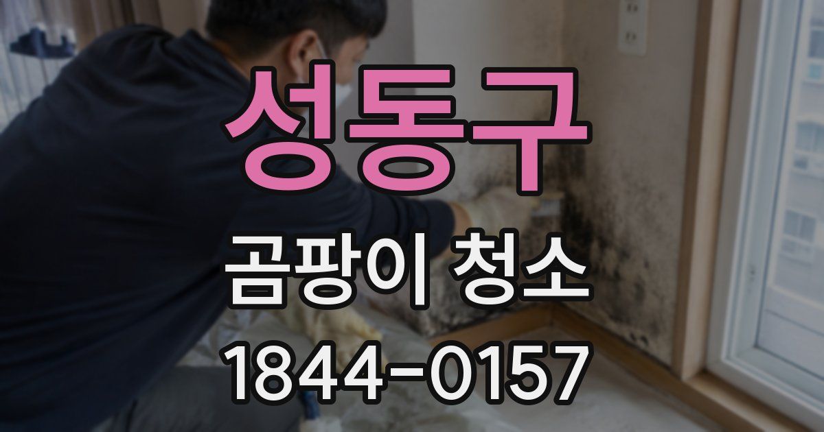 성동구 곰팡이 청소